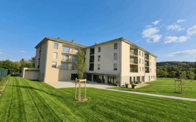 Un parc pensé pour le bien-être et la convivialité